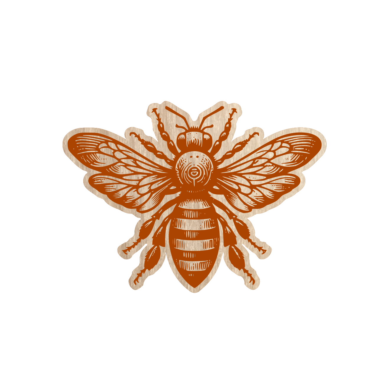 Eco Sticker - Insects