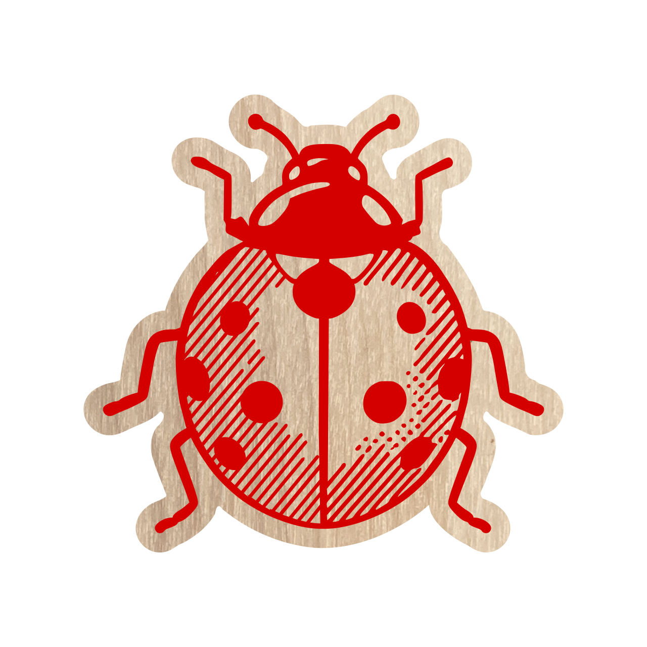 Eco Sticker - Insects