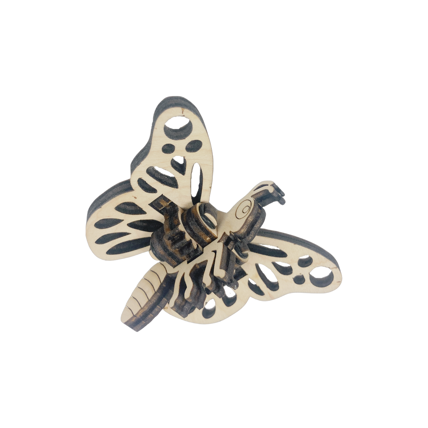 Loopets™ - Insects