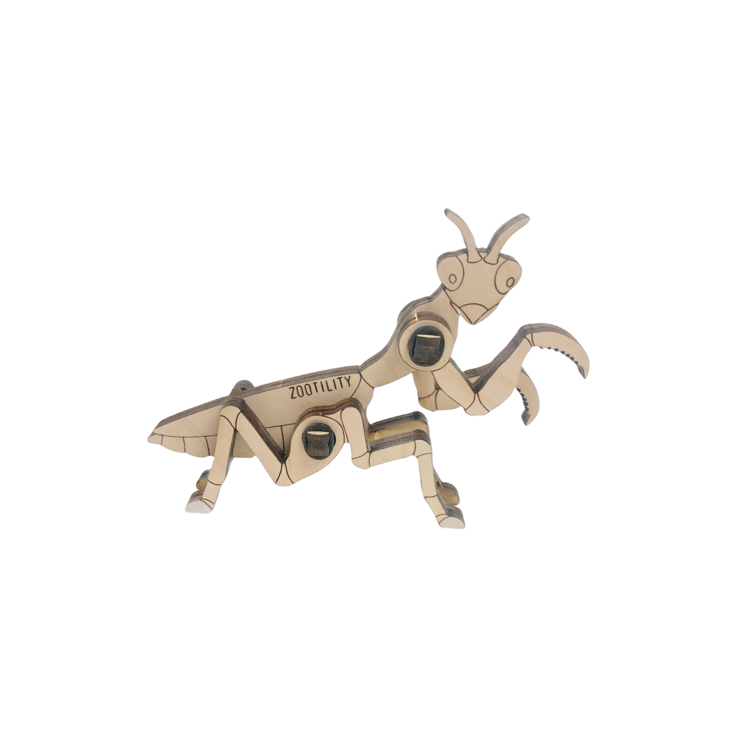 Loopets™ - Insects