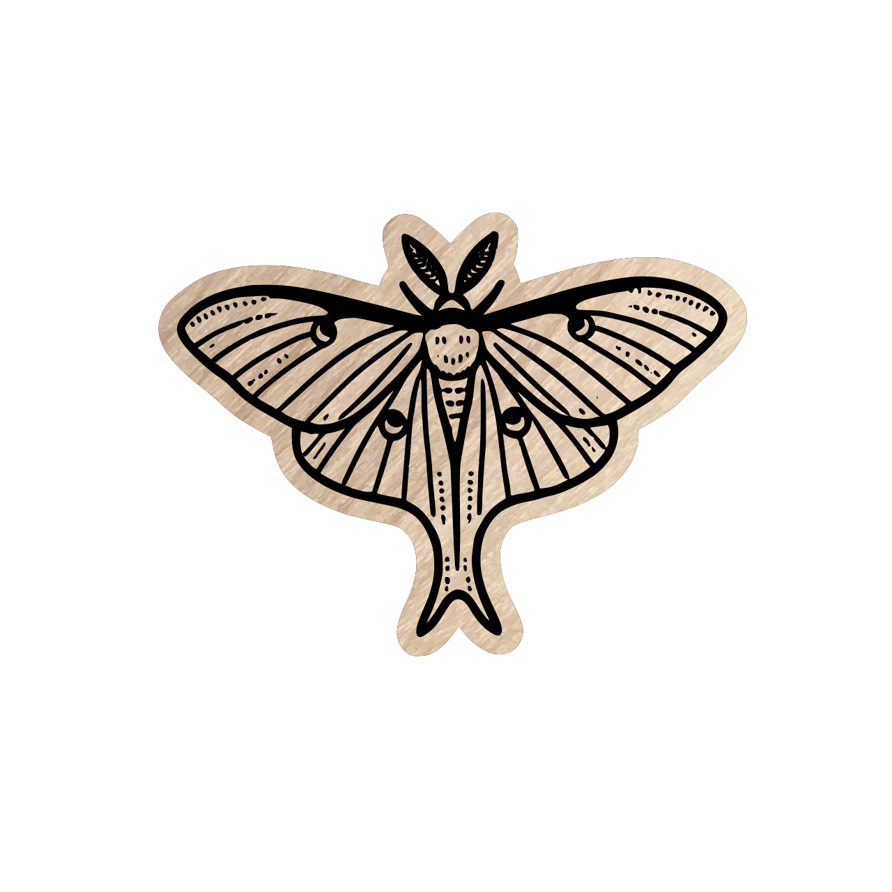 Eco Sticker - Insects